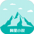 迷妹视频下载官方版图片